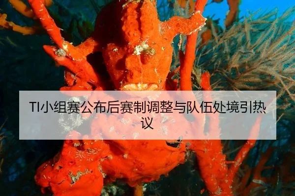 TI小组赛公布后赛制调整与队伍处境引热议